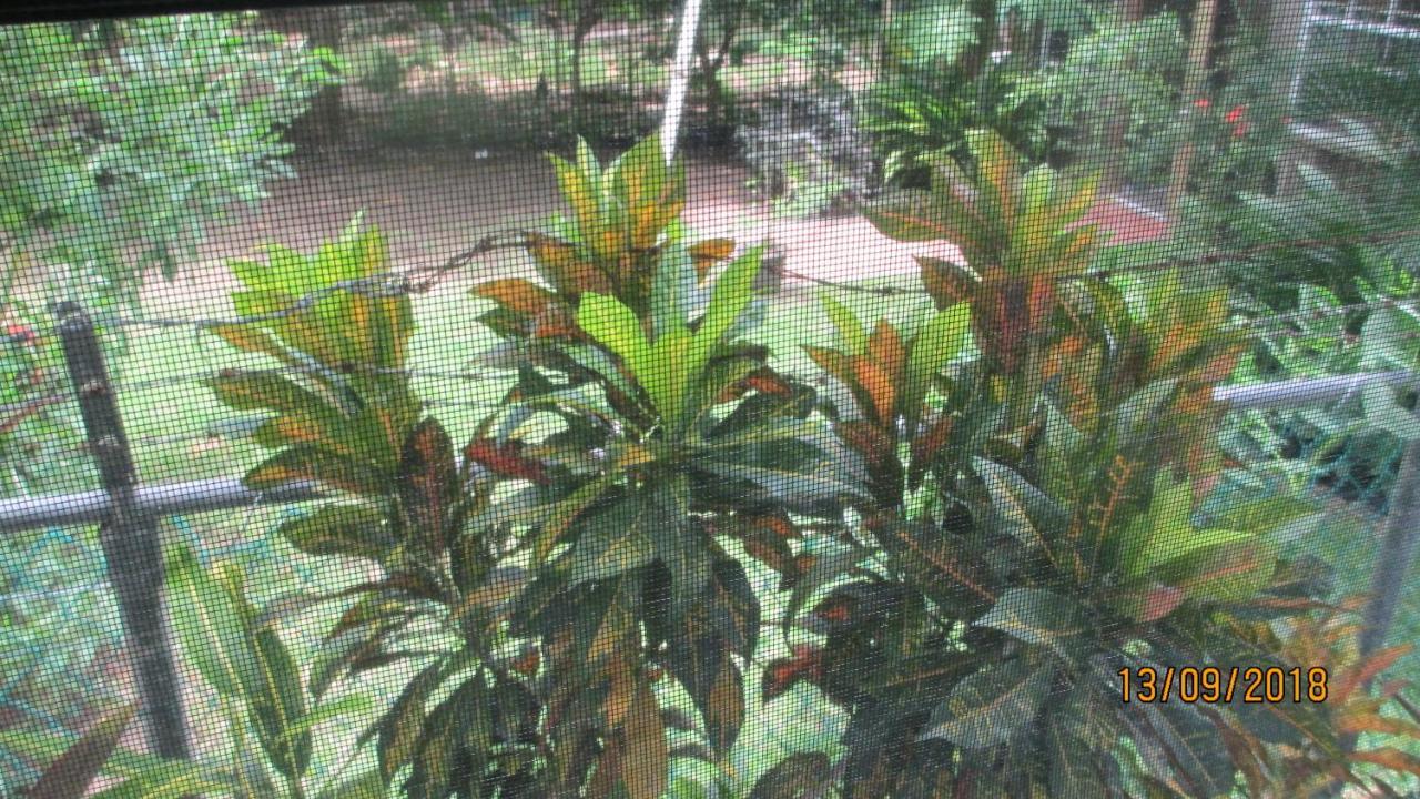 Tropical Breeze Vacation Home And Apartments 그로스 아일릿 외부 사진