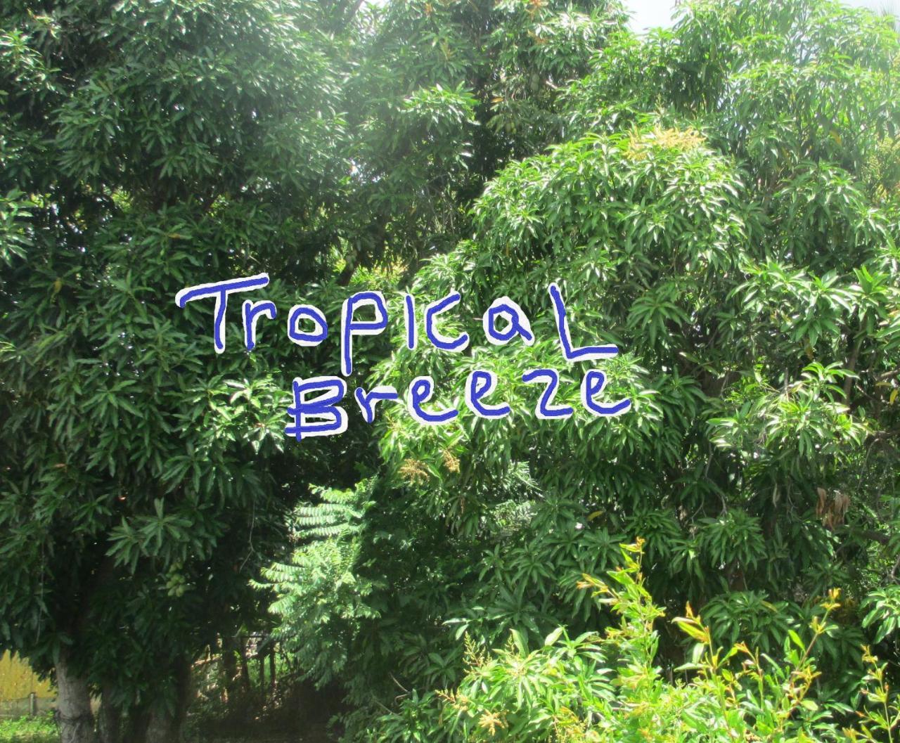 Tropical Breeze Vacation Home And Apartments 그로스 아일릿 외부 사진